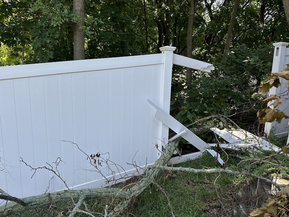 Dilapidated chain link fence overgrown with weeds before replacement